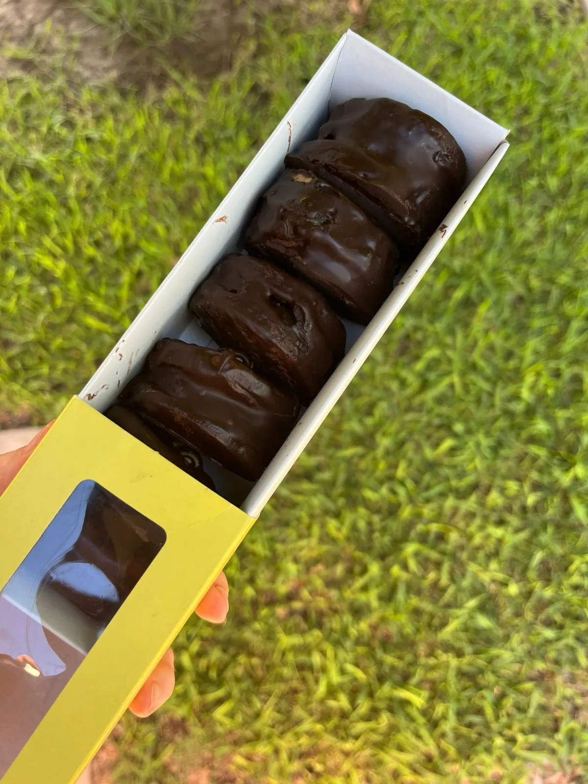 ALFACHOCO BONOBOM